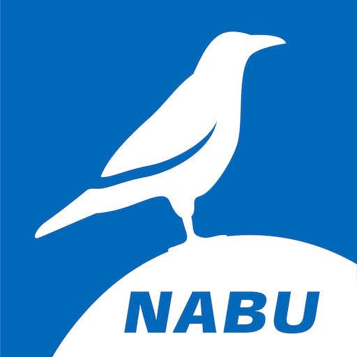 NABU Vogelwelt Vögel Bestimmen